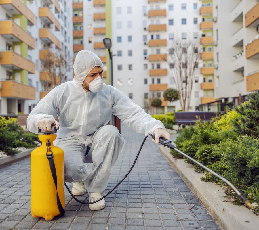 Speed Pest Control India’s Best Pest control Company