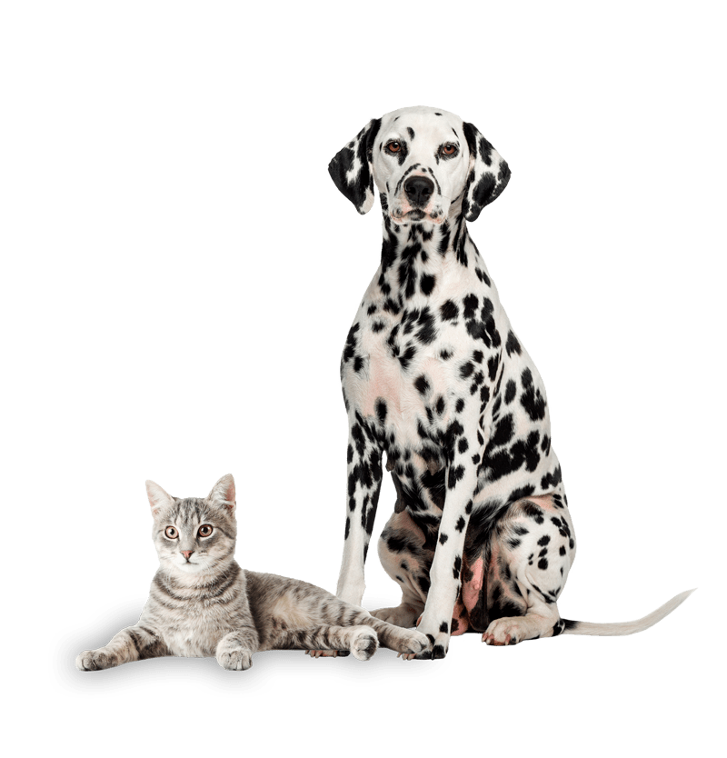 Speed Queen Speed Queen 3