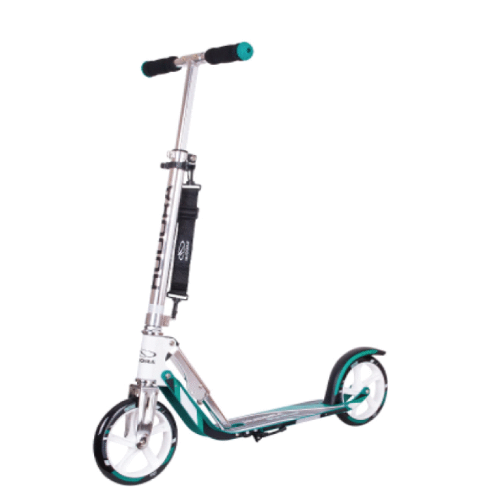 10 best kick scooter for adults in 2022 Reviews and FAQs