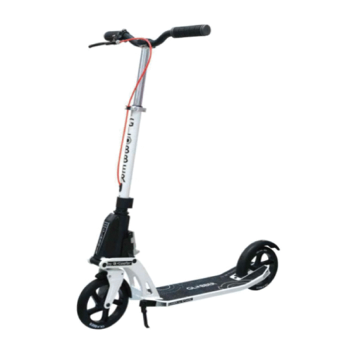 10 best kick scooter for adults in 2022 Reviews and FAQs