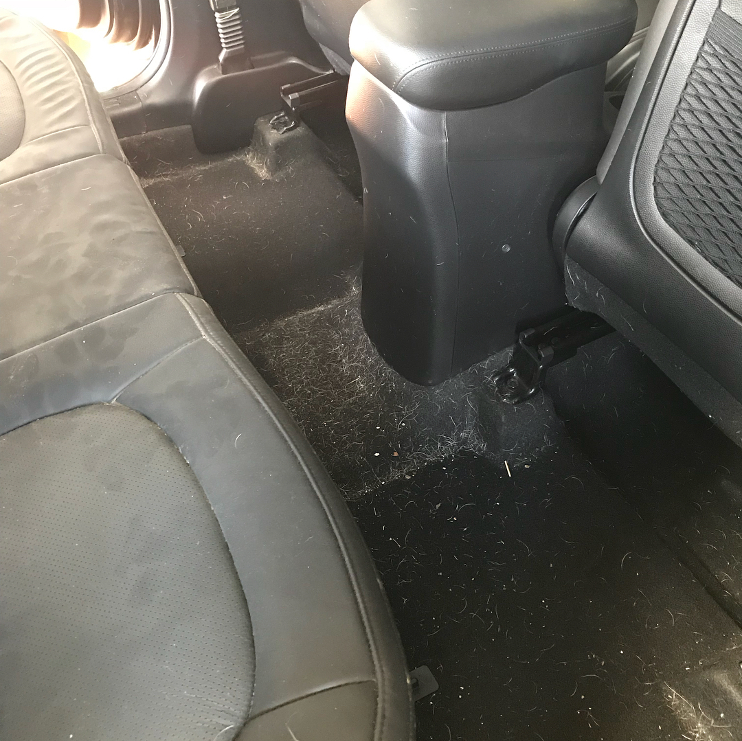 Guelph's Best Car & Truck Detailing Shop Est. 2013