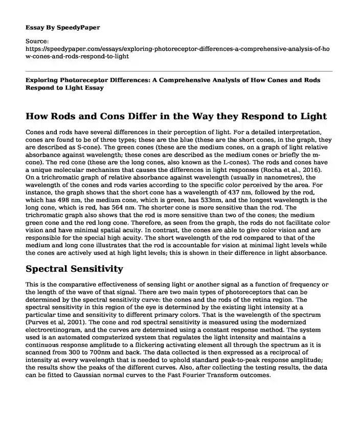 📗 Exploring Photoreceptor Differences A Comprehensive Analysis of How Cones and Rods Respond to
