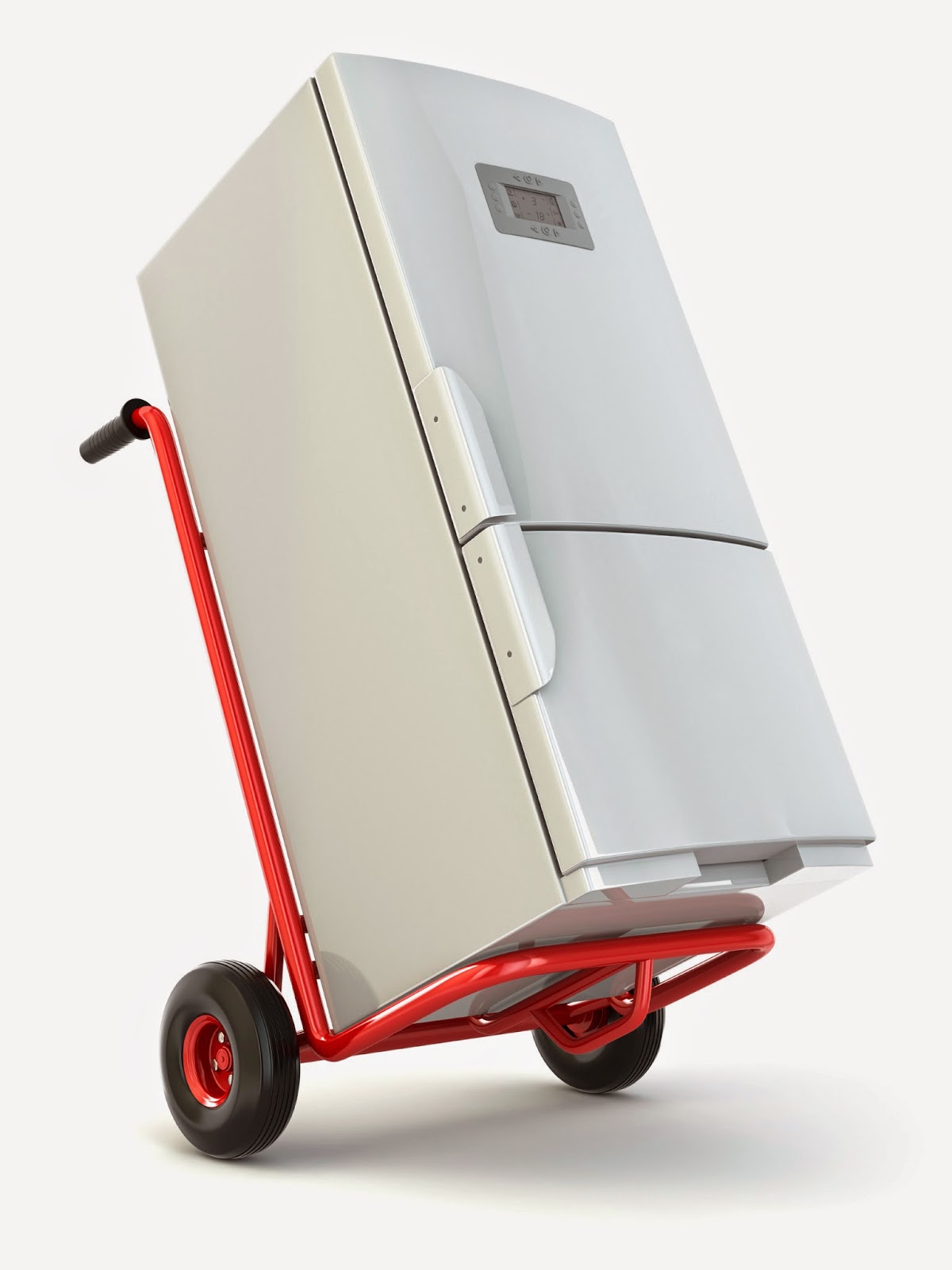 How Long Does A Freezer Have To Stand Upright at Suzanne Zackery blog