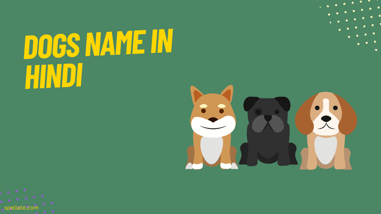 Dogs Name In Hindi [Update 2023] Spellate