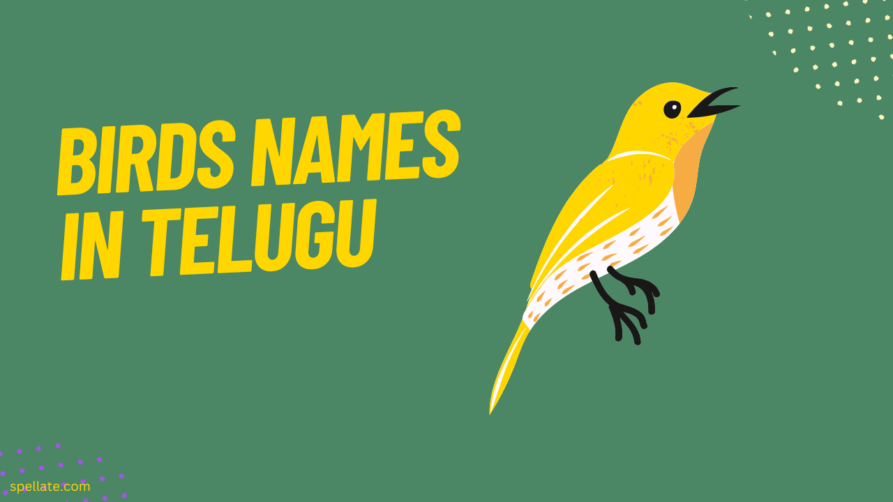 50+ Birds Name In Telugu Spellate
