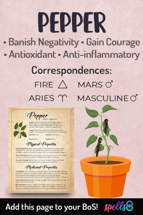 Pepper Magical Properties Banishment & Courage Spells8