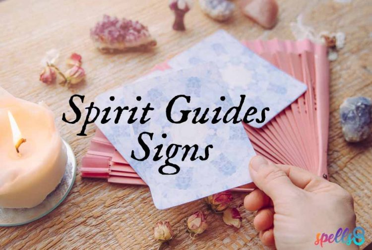 Signs From Your Spirit Guides How to Find & Meet Them Spells8