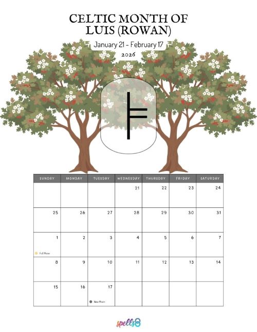 Exploring the Celtic Tree Calendar – Spells8