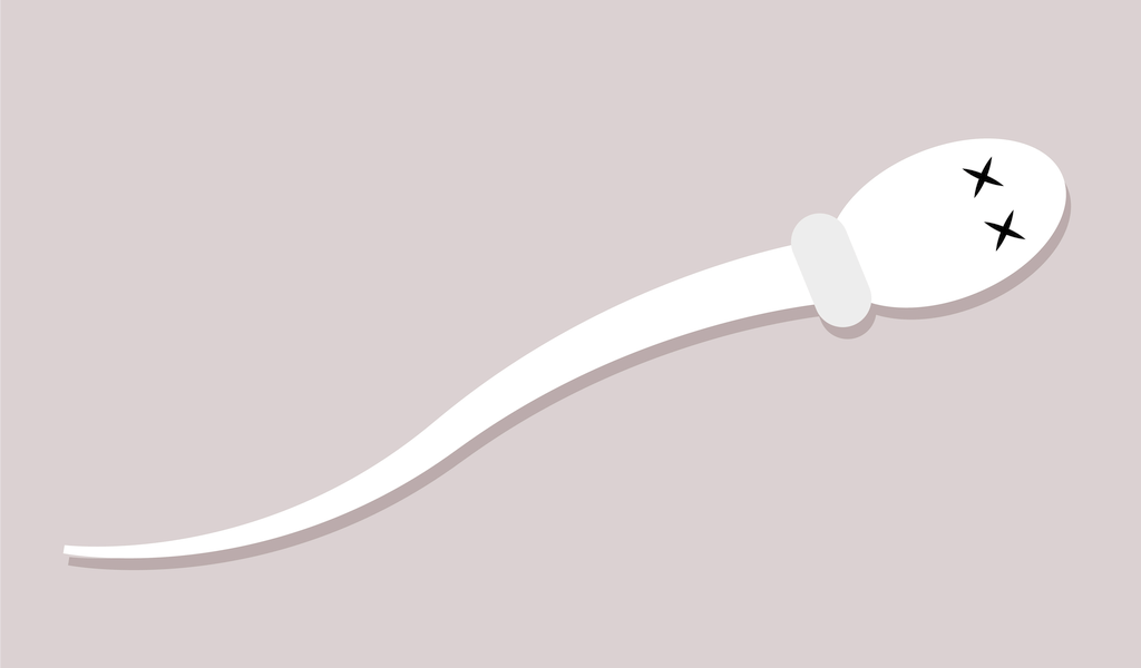 How Long Do Sperm Live?