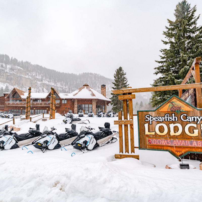 Black Hills Snowmobile Rentals Spearfish Canyon Lodge