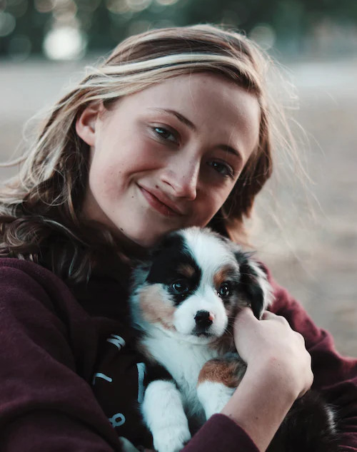 BC SPGA The Voice for animal guardians and their pets.