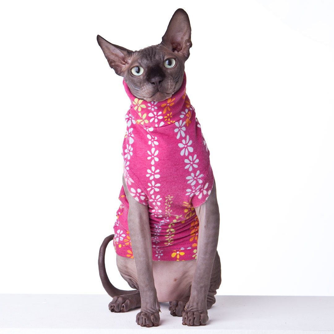 Sphynx Cat Wear The Original Sphynx Clothing Company