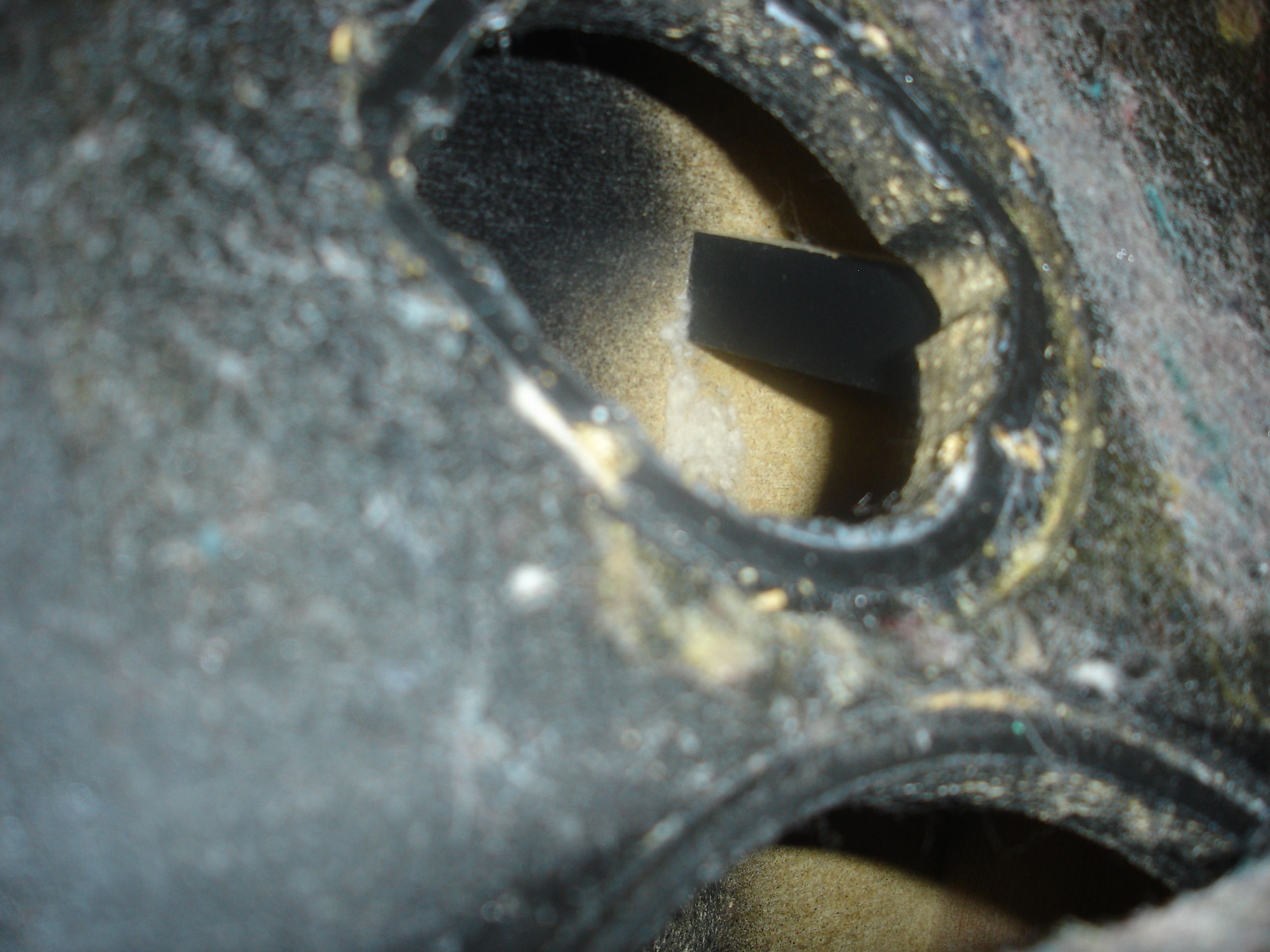 Spica Speaker Repairs