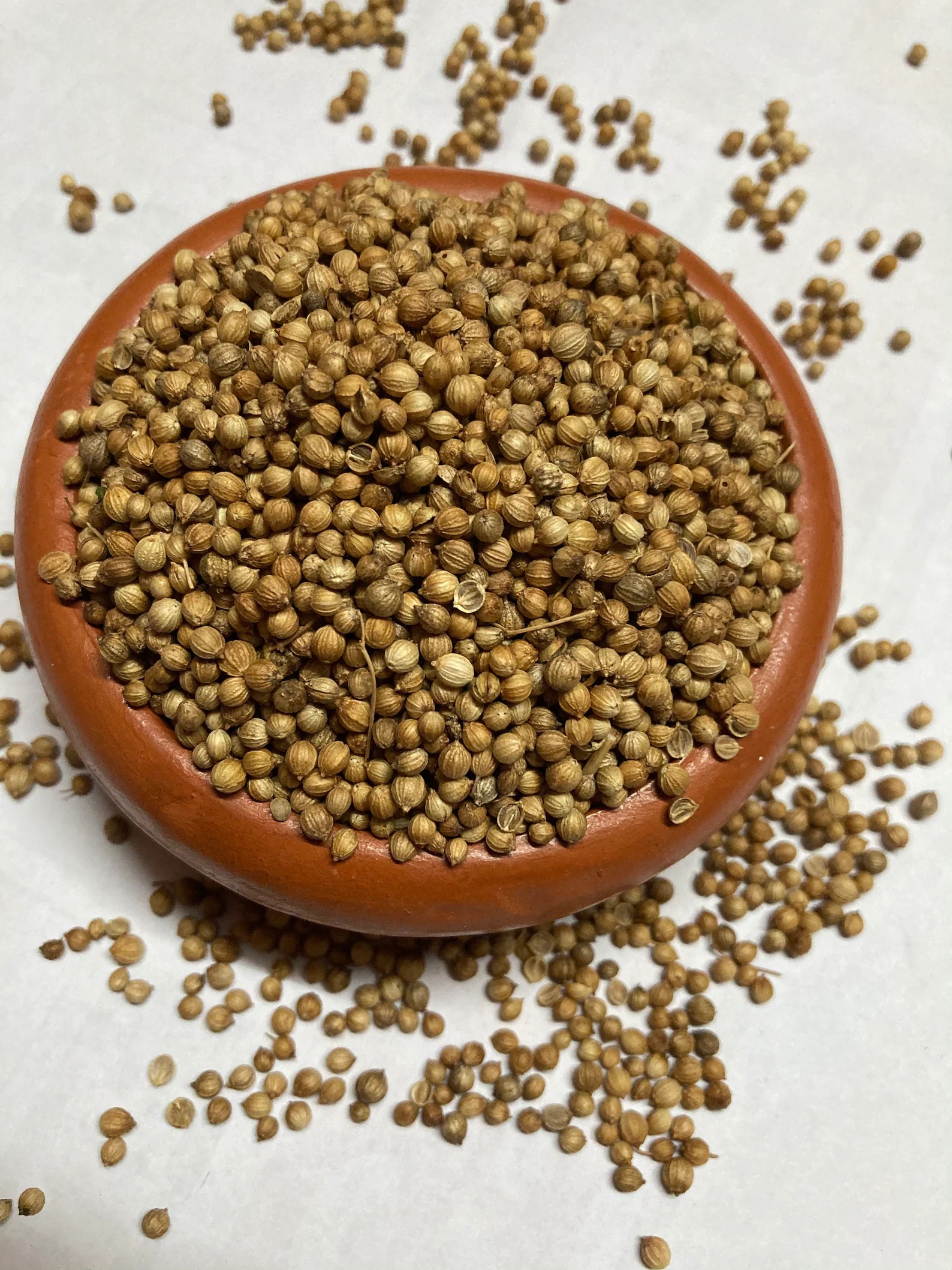 All about coriander cultivation and processing. Spice Home