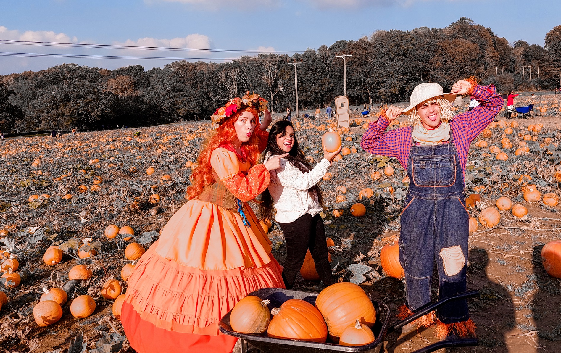 6 best places to pick Pumpkin this year, in and around London Spice