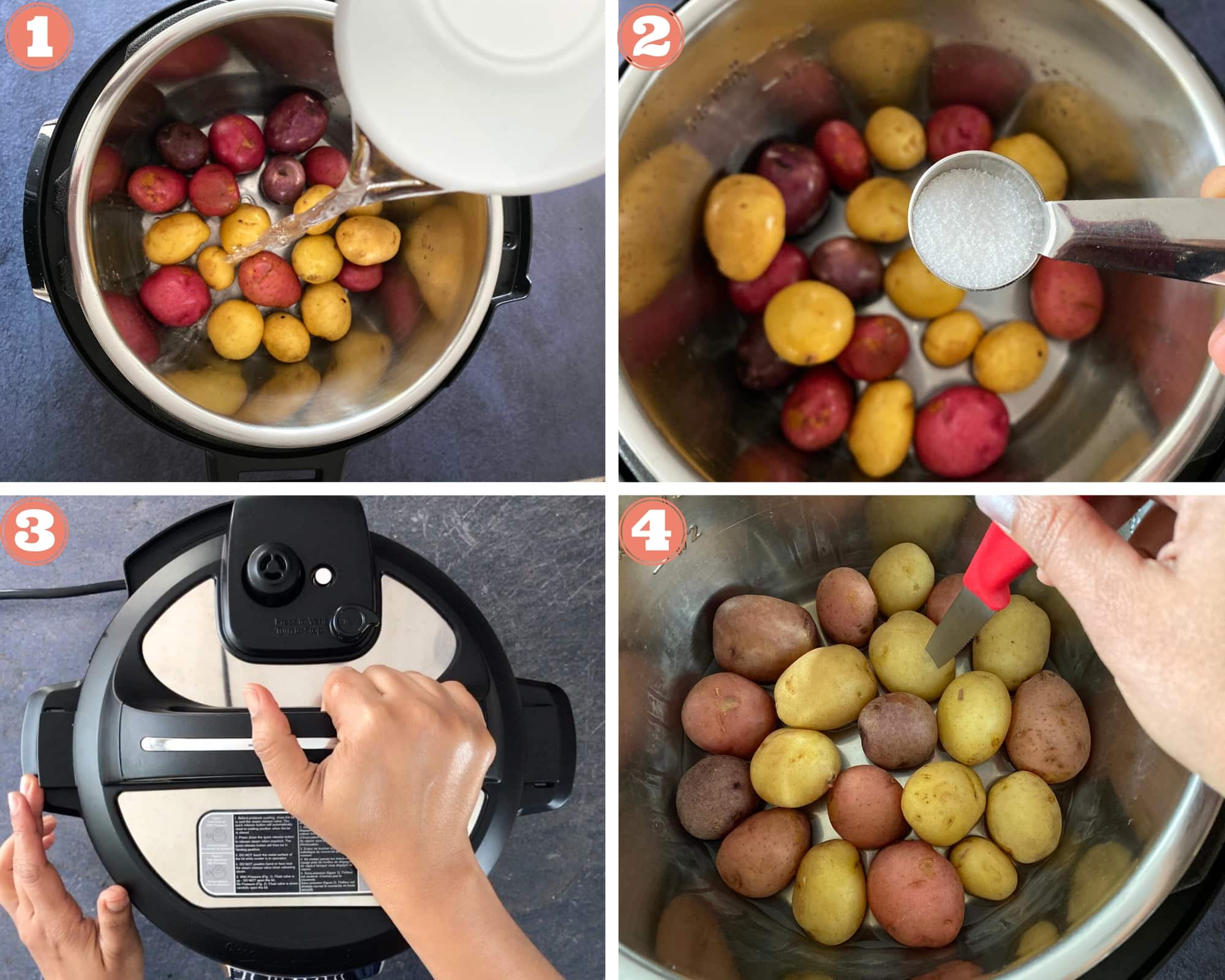 Instant Pot Boiled Potatoes (Russet, Gold, Red, Baby) Spice Cravings