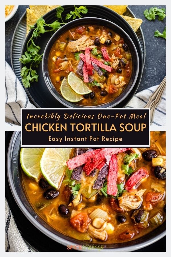 Instant Pot Chicken Tortilla Soup Recipe Spice Cravings