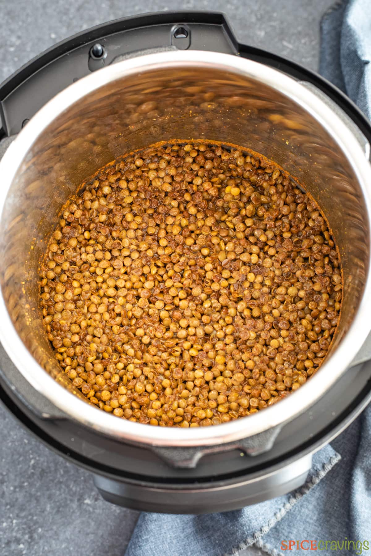 Instant Pot Lentils (Soak or NoSoak) Spice Cravings
