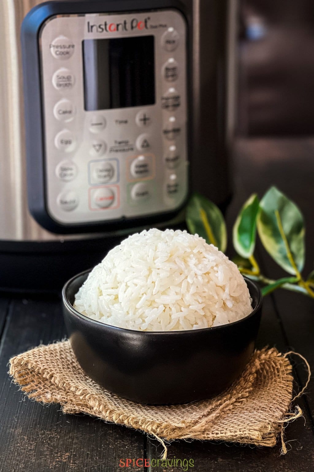 Basmati vs Jasmine Rice Spice Cravings