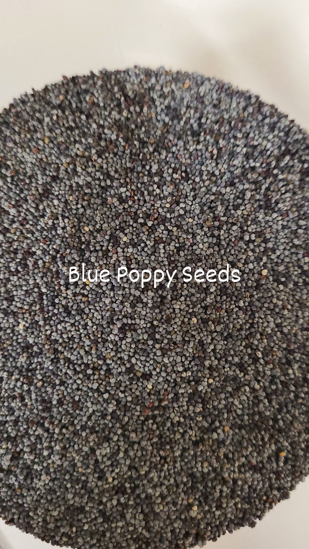 Organic Blue Poppy Seeds Spice Drive