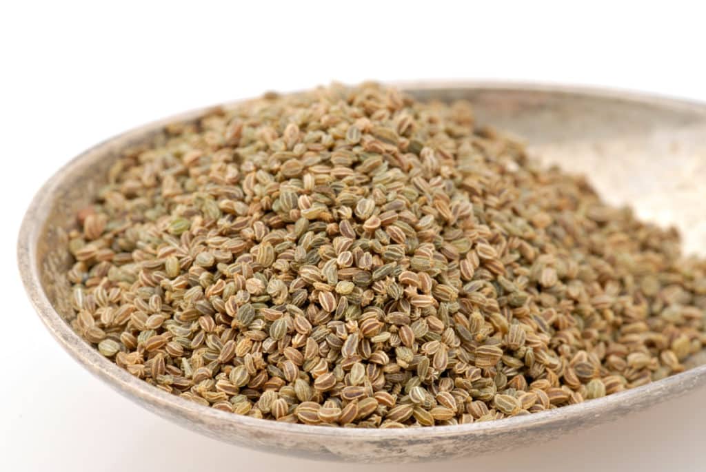 Celery seed senturinfront