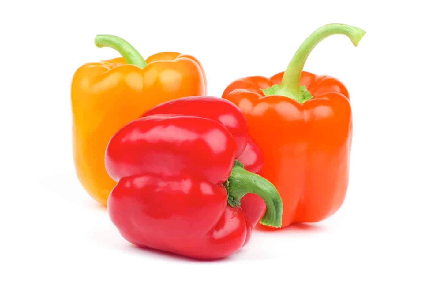 Capsicum vs. Capsaicin Spicy Exchange