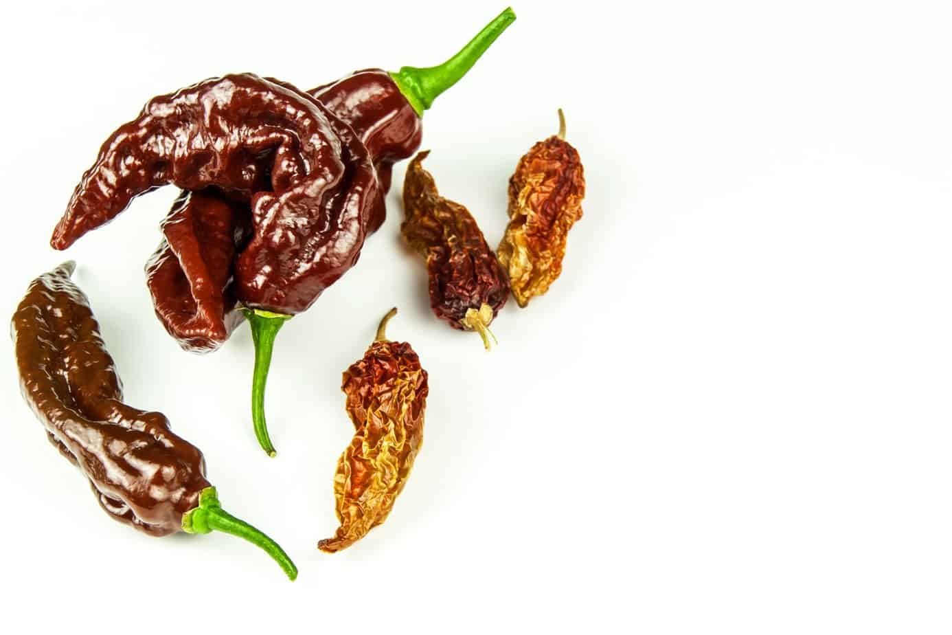 Bhut Jolokia Chocolate (Chocolate Ghost Peppers) Spicy Exchange