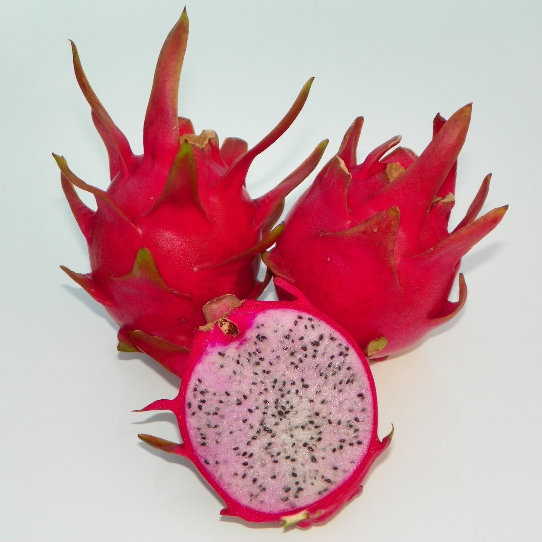 Delight Dragon Fruit pink flesh variety from Spicy Exotics