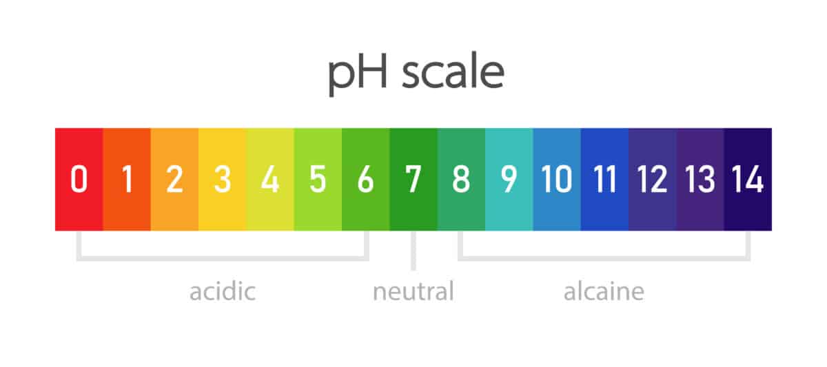 How to Measure and Adjust pH Levels in Soil With & Without a Kit The Spicy Trio