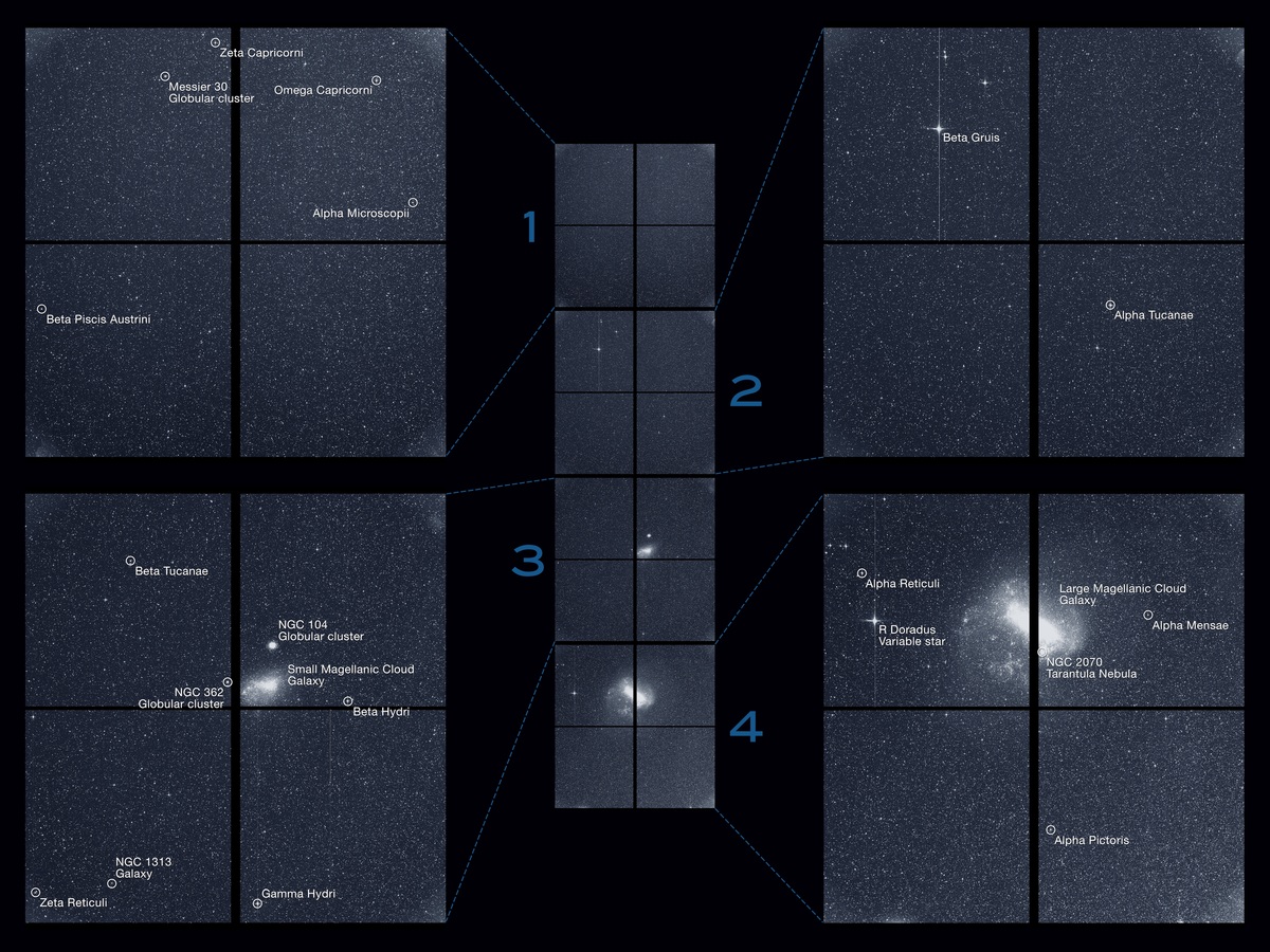 Image courtesy of NASA/MIT/TESS