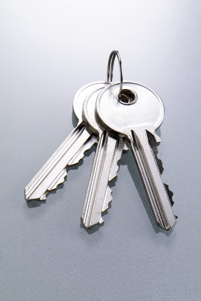 iOS Keychain Entitlements for Using RedLaser in RubyMotion