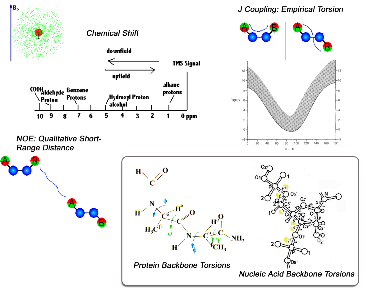 Chemical Shifts, Dipolar Couplings, and Molecular Fragment Replacement