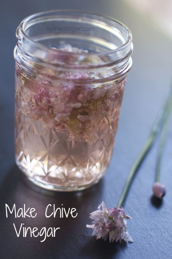 How to Make Homemade Chive Flower Vinegar for a Chive Champagne