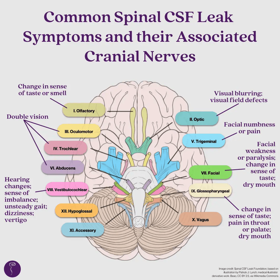 Brain Awareness Week: Day Four - Spinal CSF Leak Foundation