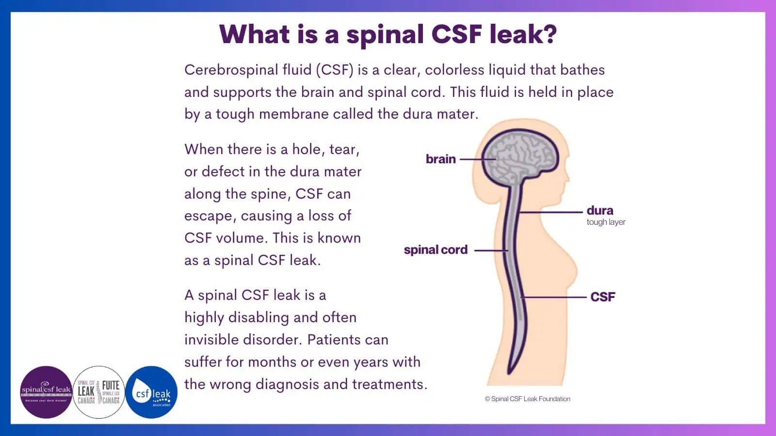  Spinal CSF Leak Foundation