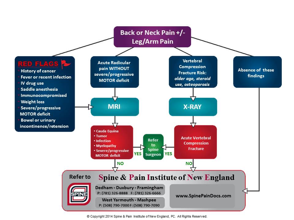 Spine Pain Algorithm for Referring Physicians Tomoya Sakai, MD