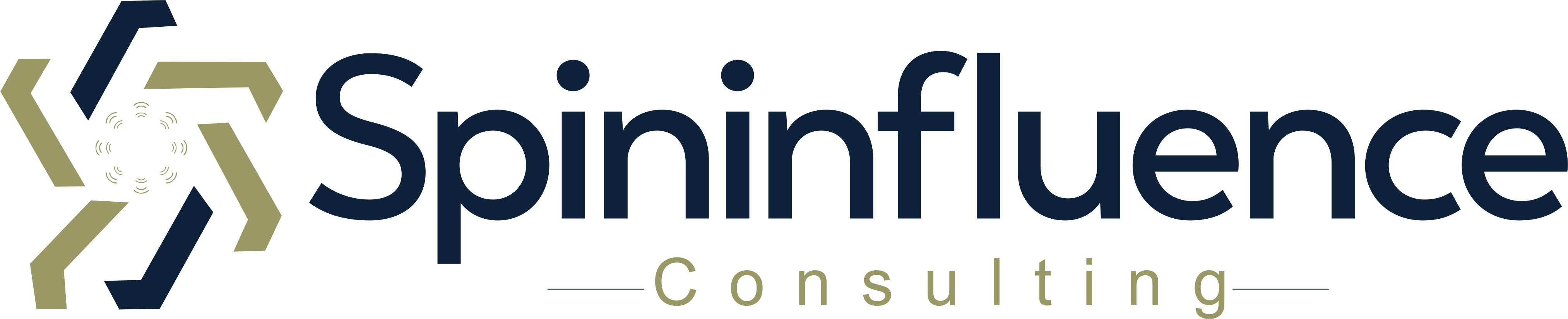 Spininfluence Consulting The Foremost Business Support Solution Firm