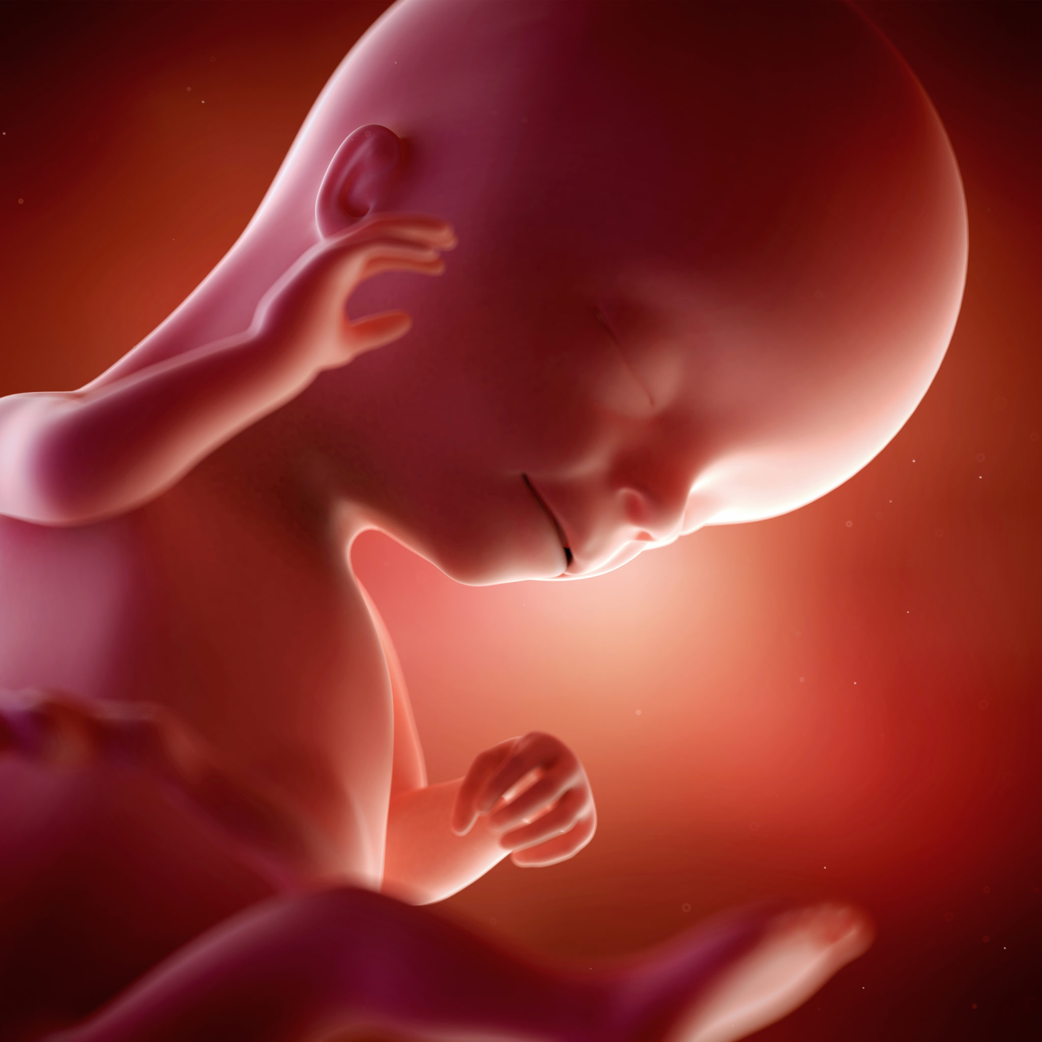 16 Weeks Pregnant Urges and Intuition Spinning Babies