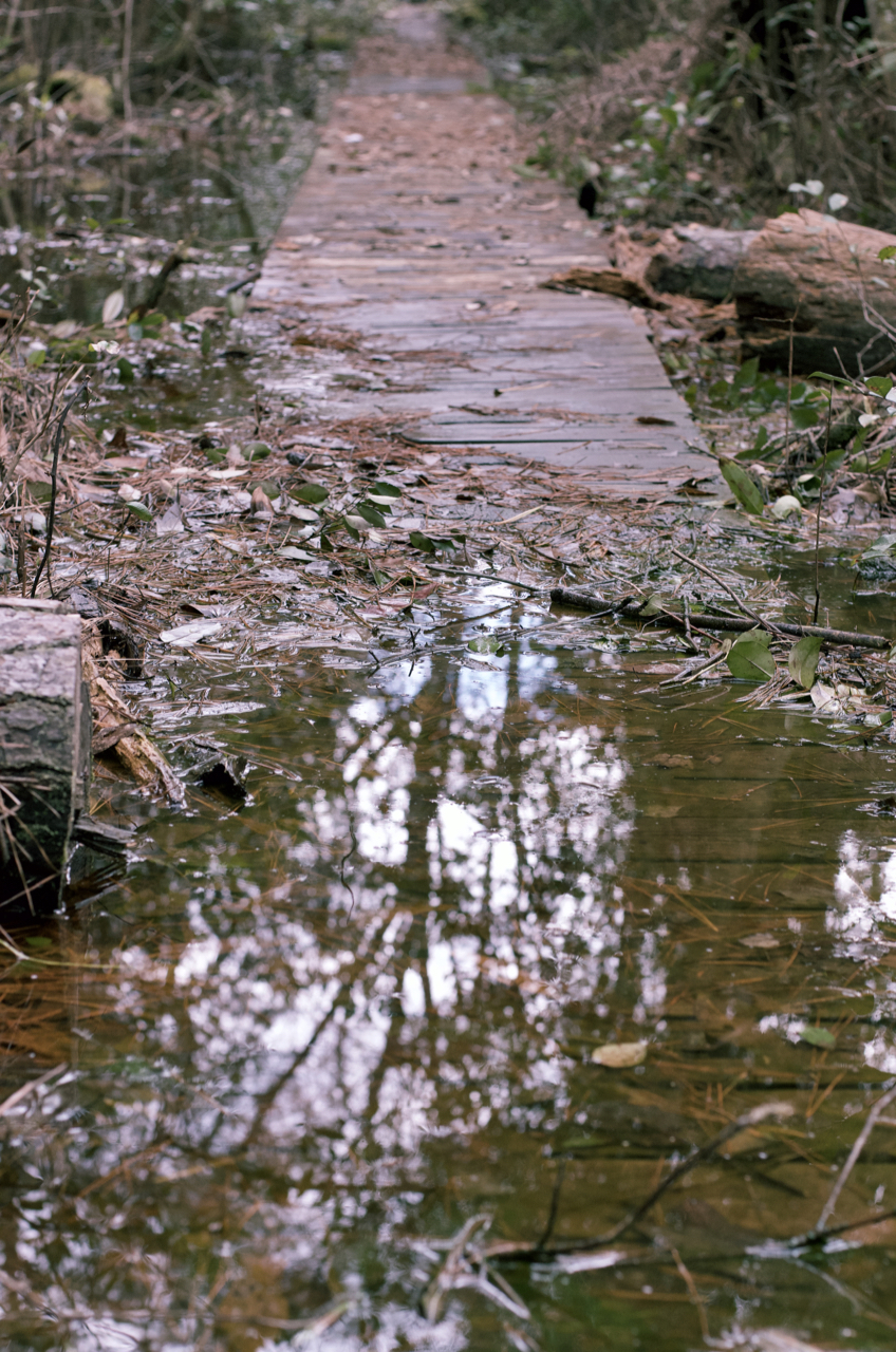 Photography Aiken State Park