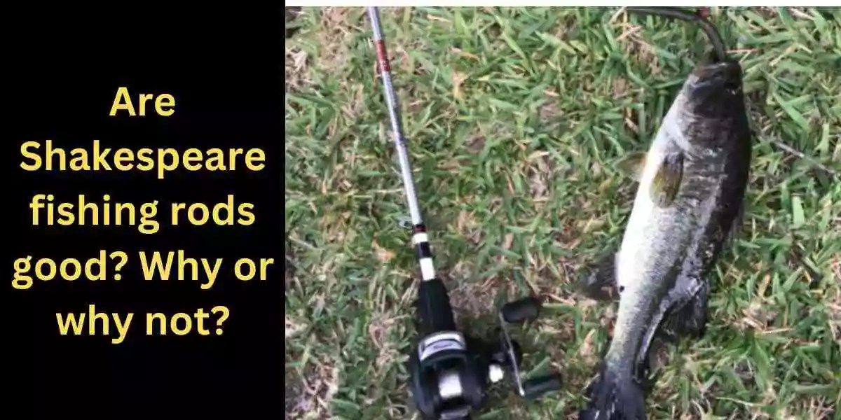 Are Shakespeare Fishing Rods Good?