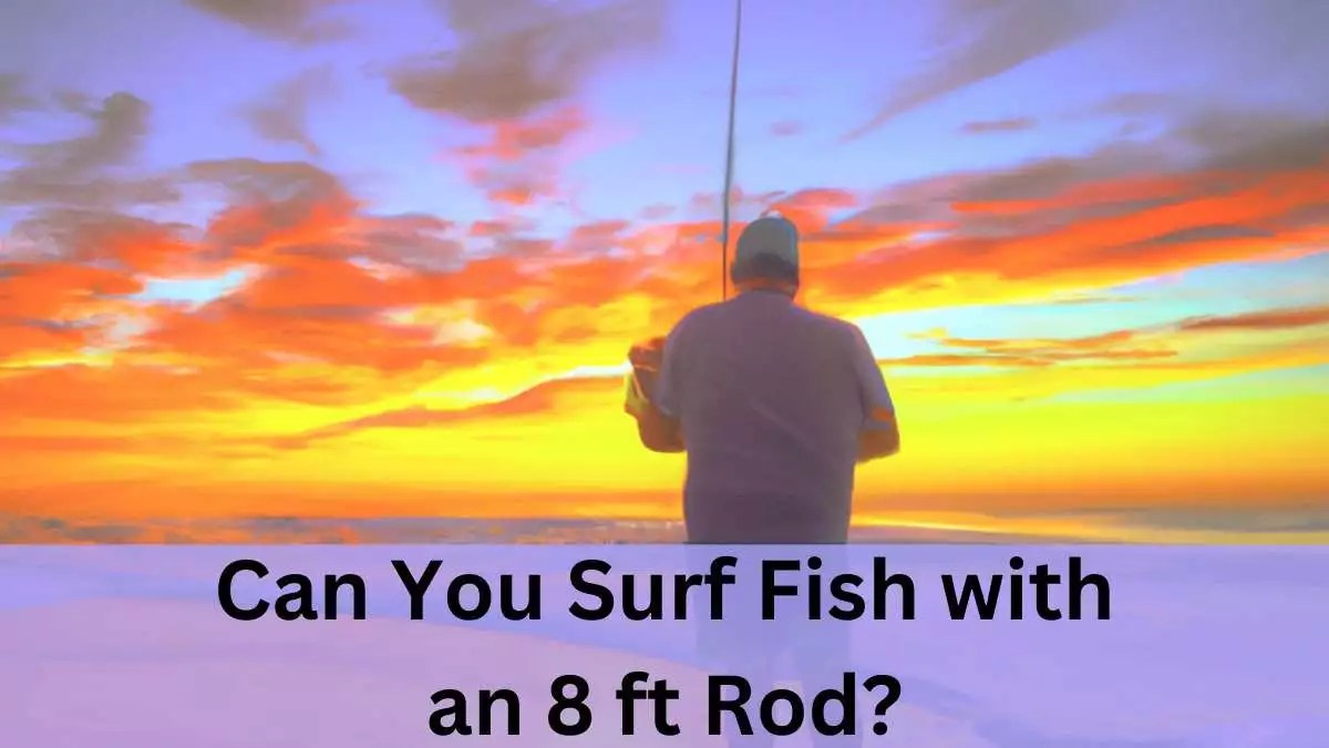 Can You Surf Fish With An 8 Ft Rod? Expert Tips & Techniques