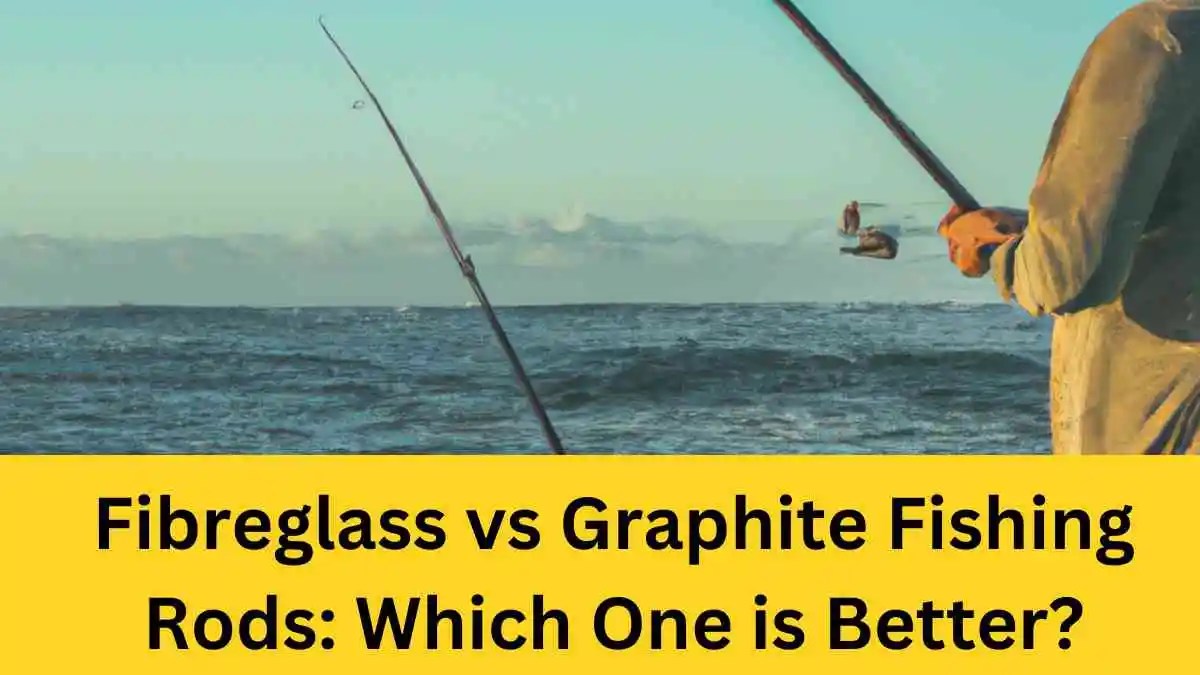 Fiberglass Vs Graphite Fishing Rods Which One Is Better?