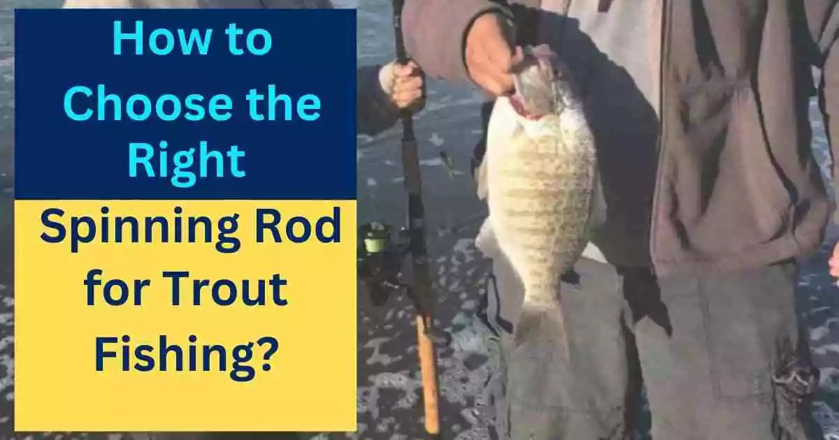 How To Choose The Right Spinning Rod For Trout Fishing?
