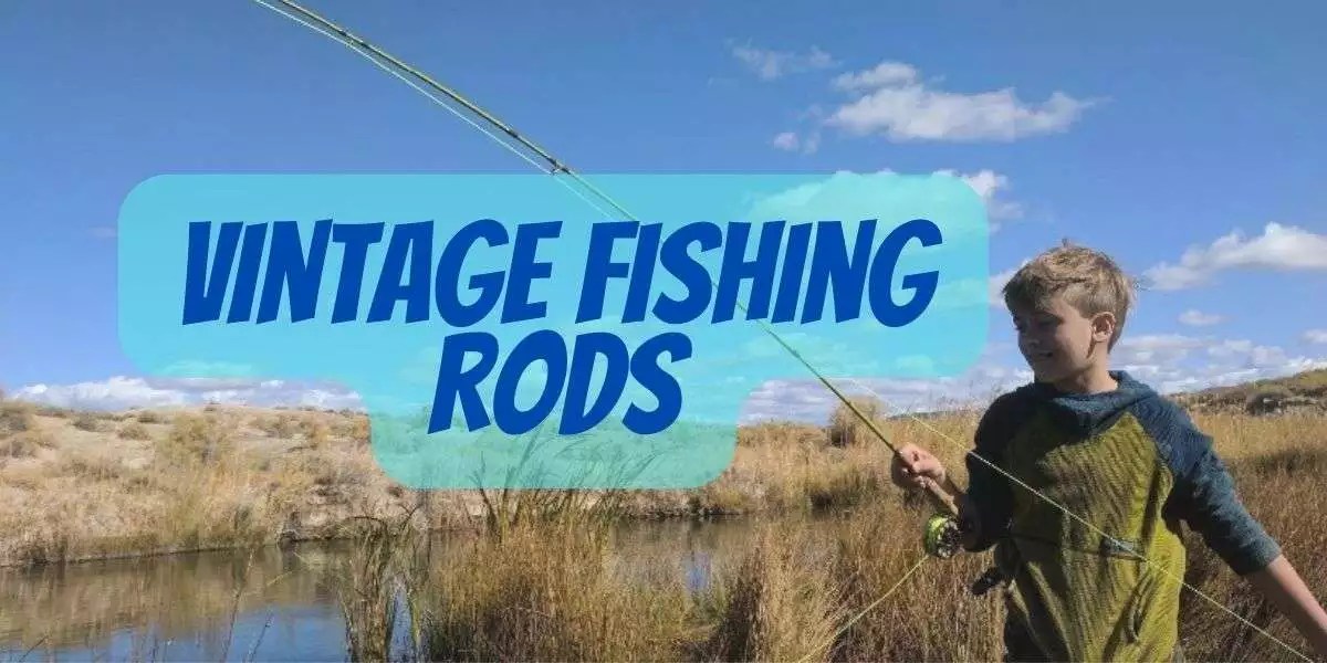 How To Identify Vintage Fishing Rods Worth Money?