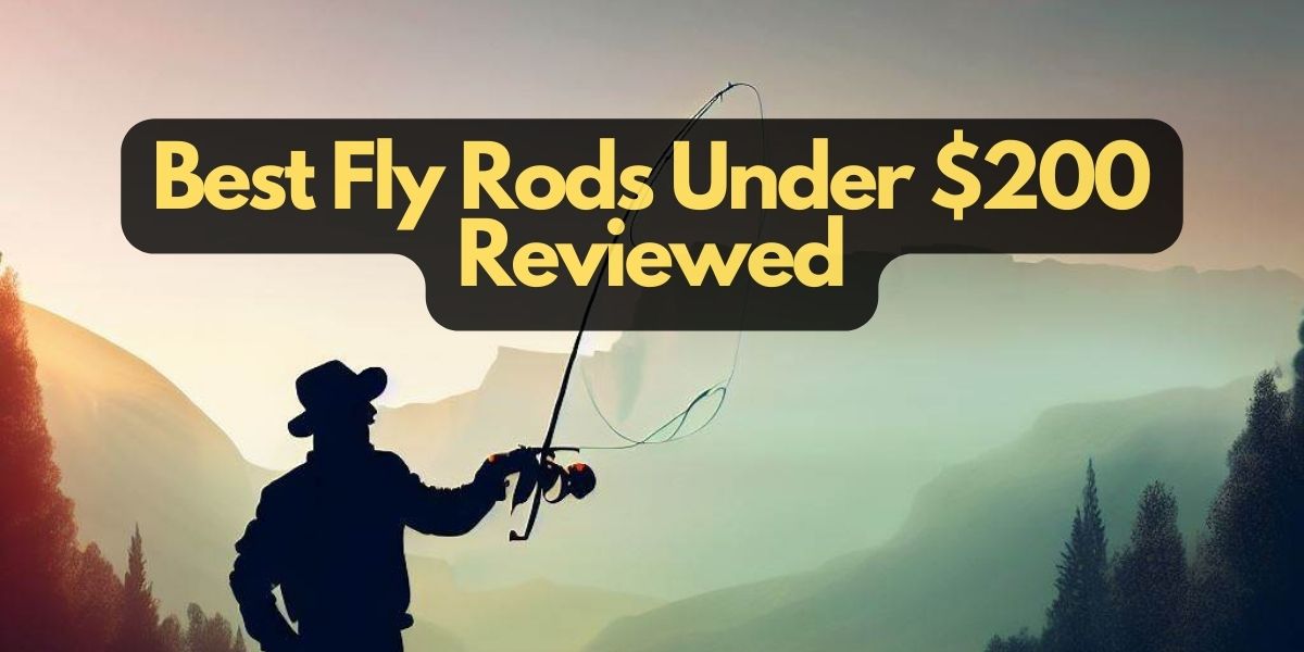 10 Best Fly Rods Under 200 Lightweight & Responsive