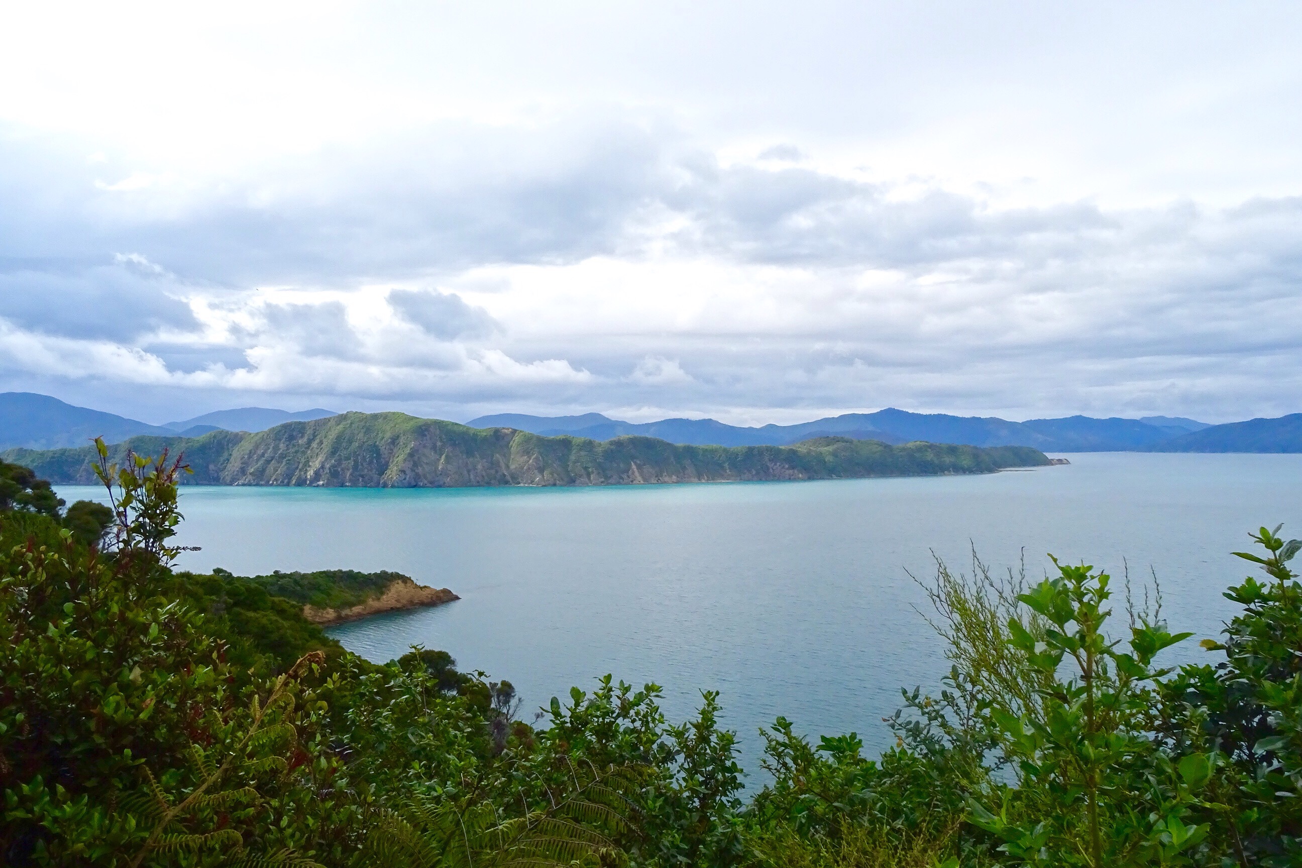 Cruising Marlborough Sounds Spin the Windrose