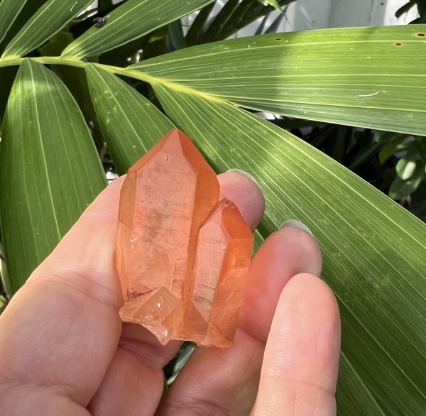 Tangerine Twin Quartz Crystal Spirals of Light