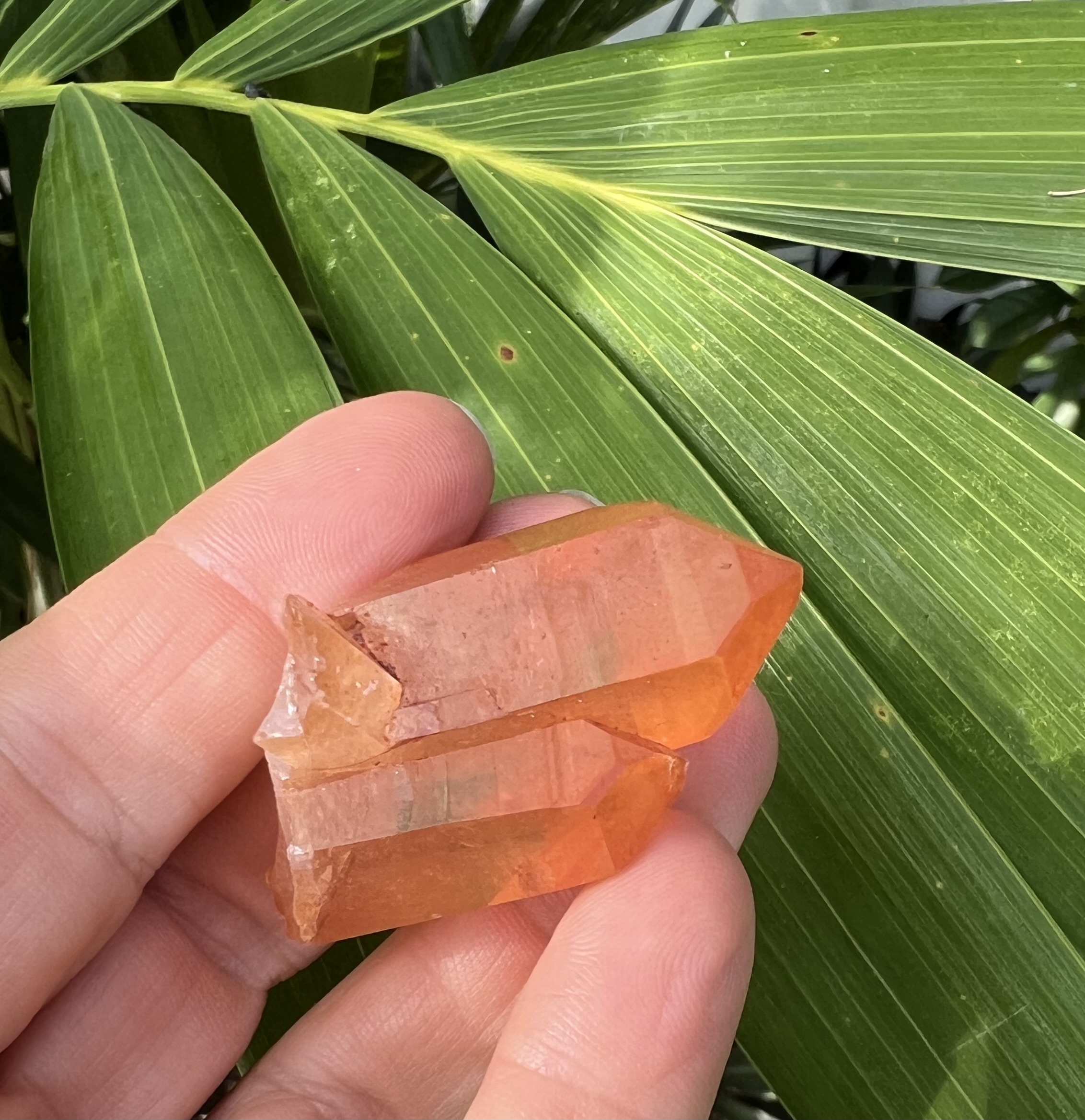 Tangerine Twin Quartz Crystal Spirals of Light
