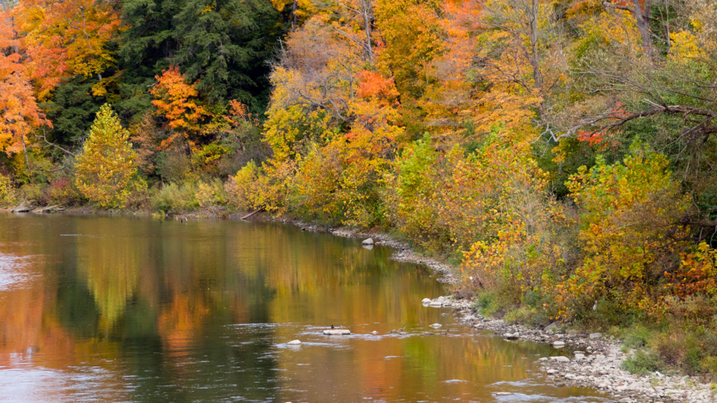 Erica Elijah Oneida Nation of the Thames Spirit Aligned Leadership