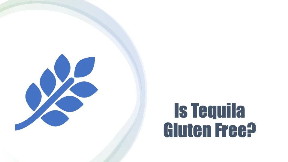 Is Tequila Gluten Free? Yes*
